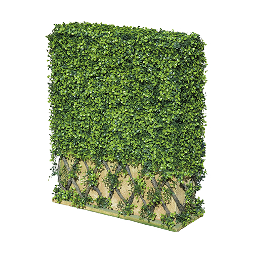 vasar-garden-design-collezione-esplorando-grass-bosso-wall